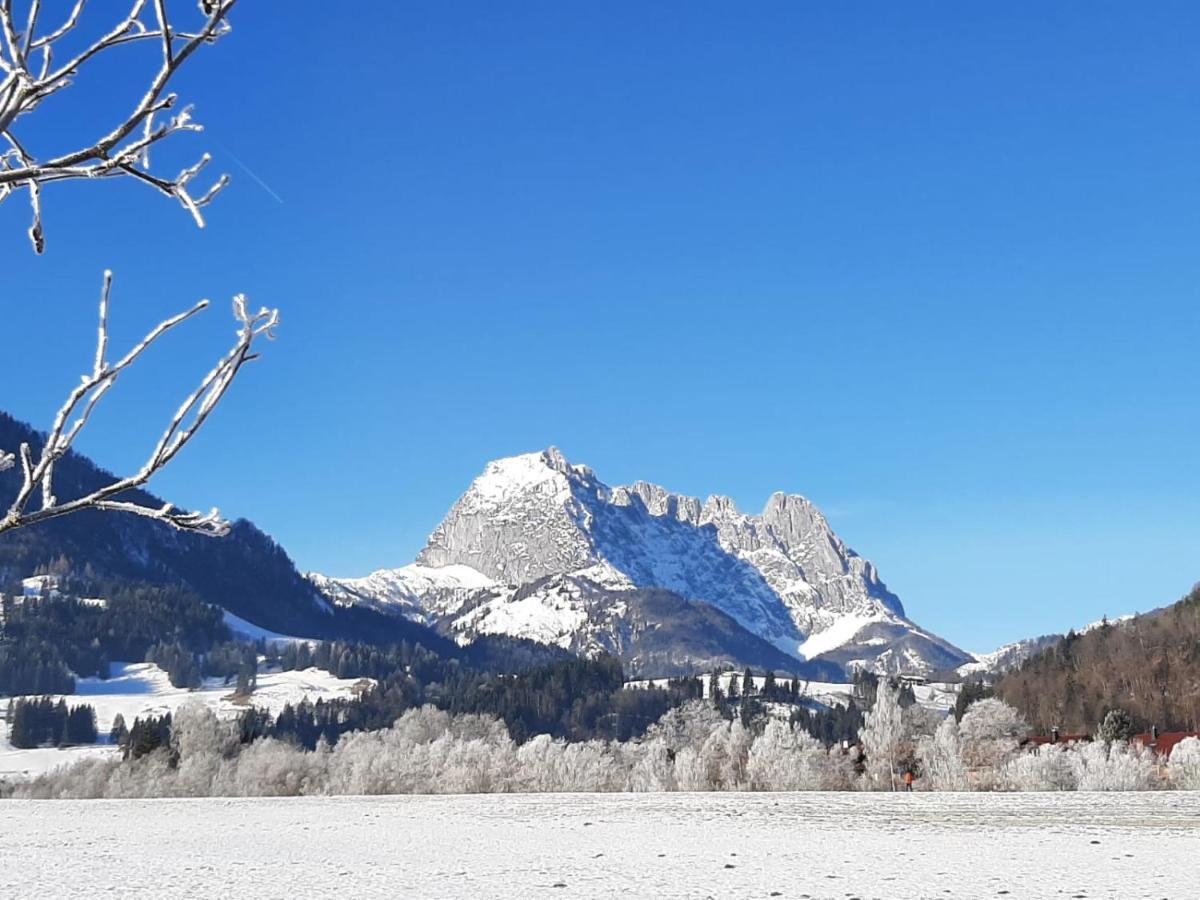 Tiroler Ferienwohnungen Haus Petra Kirchdorf in Tirol Exterior foto